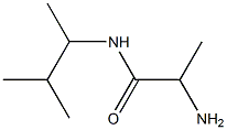 2-amino-N-(3-methylbutan-2-yl)propanamide Structure