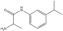 2-amino-N-[3-(propan-2-yl)phenyl]propanamide Structure