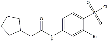 2-bromo-4-(2-cyclopentylacetamido)benzene-1-sulfonyl chloride 구조식 이미지