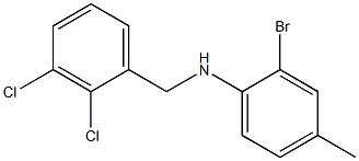 2-bromo-N-[(2,3-dichlorophenyl)methyl]-4-methylaniline Structure