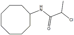 2-chloro-N-cyclooctylpropanamide Structure