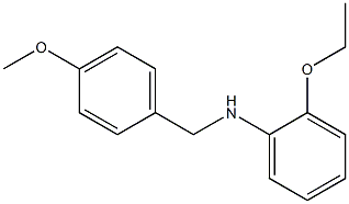 2-ethoxy-N-[(4-methoxyphenyl)methyl]aniline Structure