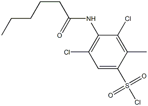 3,5-dichloro-4-hexanamido-2-methylbenzene-1-sulfonyl chloride Structure