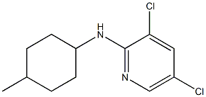 3,5-dichloro-N-(4-methylcyclohexyl)pyridin-2-amine 구조식 이미지