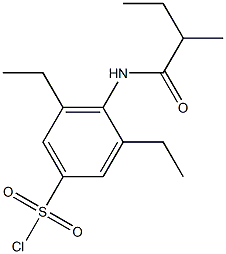 3,5-diethyl-4-(2-methylbutanamido)benzene-1-sulfonyl chloride Structure