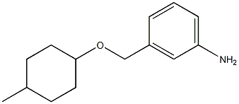 3-{[(4-methylcyclohexyl)oxy]methyl}aniline Structure