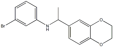 3-bromo-N-[1-(2,3-dihydro-1,4-benzodioxin-6-yl)ethyl]aniline Structure