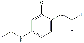 3-chloro-4-(difluoromethoxy)-N-(propan-2-yl)aniline 구조식 이미지