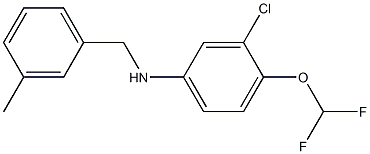3-chloro-4-(difluoromethoxy)-N-[(3-methylphenyl)methyl]aniline 구조식 이미지