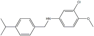3-chloro-4-methoxy-N-{[4-(propan-2-yl)phenyl]methyl}aniline 구조식 이미지