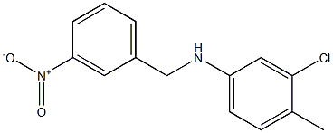 3-chloro-4-methyl-N-[(3-nitrophenyl)methyl]aniline 구조식 이미지