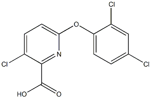 3-chloro-6-(2,4-dichlorophenoxy)pyridine-2-carboxylic acid 구조식 이미지