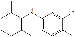 3-chloro-N-(2,6-dimethylcyclohexyl)-4-methylaniline Structure