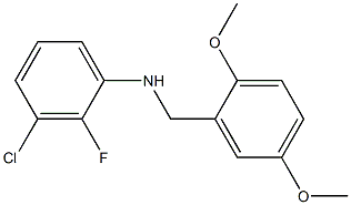 3-chloro-N-[(2,5-dimethoxyphenyl)methyl]-2-fluoroaniline Structure