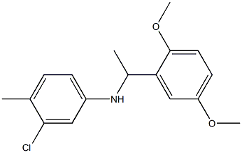 3-chloro-N-[1-(2,5-dimethoxyphenyl)ethyl]-4-methylaniline 구조식 이미지