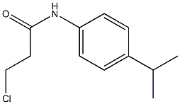 3-chloro-N-[4-(propan-2-yl)phenyl]propanamide Structure