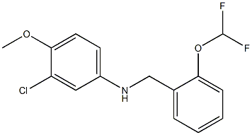 3-chloro-N-{[2-(difluoromethoxy)phenyl]methyl}-4-methoxyaniline 구조식 이미지
