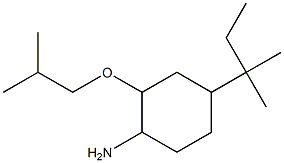 4-(2-methylbutan-2-yl)-2-(2-methylpropoxy)cyclohexan-1-amine Structure