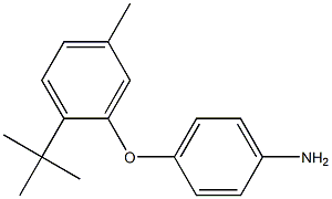 4-(2-tert-butyl-5-methylphenoxy)aniline 구조식 이미지