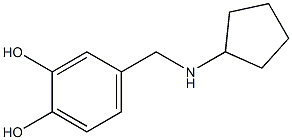 4-[(cyclopentylamino)methyl]benzene-1,2-diol Structure