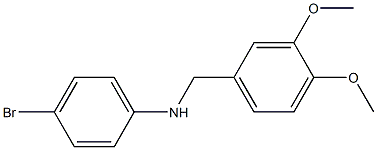 4-bromo-N-[(3,4-dimethoxyphenyl)methyl]aniline 구조식 이미지