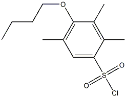 4-butoxy-2,3,5-trimethylbenzene-1-sulfonyl chloride Structure