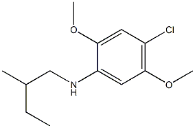 4-chloro-2,5-dimethoxy-N-(2-methylbutyl)aniline Structure