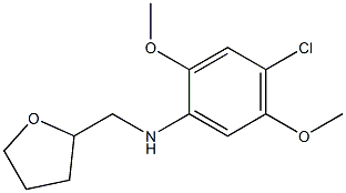 4-chloro-2,5-dimethoxy-N-(oxolan-2-ylmethyl)aniline Structure