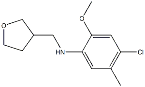 4-chloro-2-methoxy-5-methyl-N-(oxolan-3-ylmethyl)aniline 구조식 이미지
