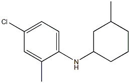 4-chloro-2-methyl-N-(3-methylcyclohexyl)aniline Structure