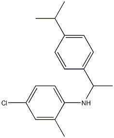 4-chloro-2-methyl-N-{1-[4-(propan-2-yl)phenyl]ethyl}aniline 구조식 이미지