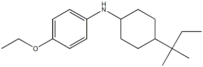 4-ethoxy-N-[4-(2-methylbutan-2-yl)cyclohexyl]aniline 구조식 이미지