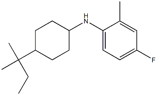 4-fluoro-2-methyl-N-[4-(2-methylbutan-2-yl)cyclohexyl]aniline 구조식 이미지