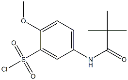 5-(2,2-dimethylpropanamido)-2-methoxybenzene-1-sulfonyl chloride 구조식 이미지