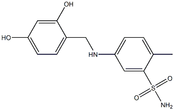 5-{[(2,4-dihydroxyphenyl)methyl]amino}-2-methylbenzene-1-sulfonamide Structure