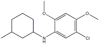 5-chloro-2,4-dimethoxy-N-(3-methylcyclohexyl)aniline 구조식 이미지