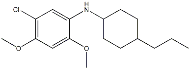 5-chloro-2,4-dimethoxy-N-(4-propylcyclohexyl)aniline 구조식 이미지