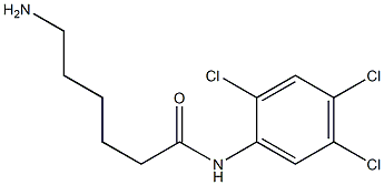 6-amino-N-(2,4,5-trichlorophenyl)hexanamide Structure