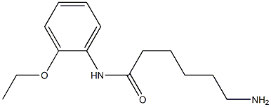 6-amino-N-(2-ethoxyphenyl)hexanamide Structure