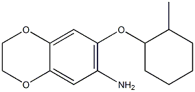 7-[(2-methylcyclohexyl)oxy]-2,3-dihydro-1,4-benzodioxin-6-amine 구조식 이미지