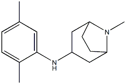 N-(2,5-dimethylphenyl)-8-methyl-8-azabicyclo[3.2.1]octan-3-amine 구조식 이미지