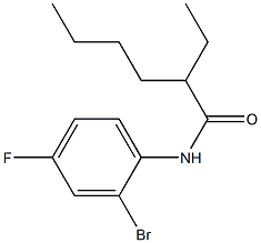 N-(2-bromo-4-fluorophenyl)-2-ethylhexanamide 구조식 이미지