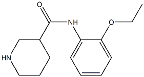 N-(2-ethoxyphenyl)piperidine-3-carboxamide Structure