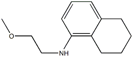 N-(2-methoxyethyl)-5,6,7,8-tetrahydronaphthalen-1-amine 구조식 이미지