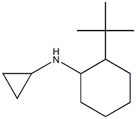 N-(2-tert-butylcyclohexyl)-N-cyclopropylamine 구조식 이미지