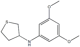 N-(3,5-dimethoxyphenyl)thiolan-3-amine 구조식 이미지