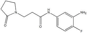 N-(3-amino-4-fluorophenyl)-3-(2-oxopyrrolidin-1-yl)propanamide 구조식 이미지