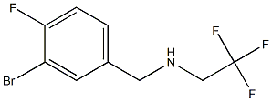 N-(3-bromo-4-fluorobenzyl)-N-(2,2,2-trifluoroethyl)amine 구조식 이미지