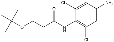 N-(4-amino-2,6-dichlorophenyl)-3-(tert-butoxy)propanamide 구조식 이미지