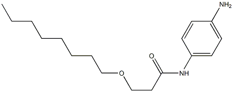 N-(4-aminophenyl)-3-(octyloxy)propanamide Structure